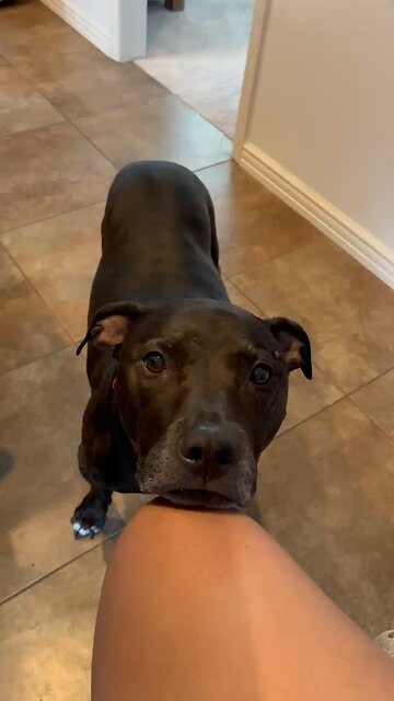 ❤️Kaiser Sose❤️