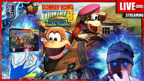 Last of the Trilogy! | Donkey Kong Country 3 |⚡POWER UP PLAYTHROUGH - FIRST TIME ⚡| SNES