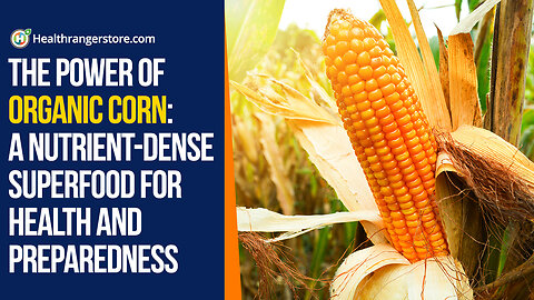 The power of Organic Corn: A nutrient-dense superfood for health and preparedness