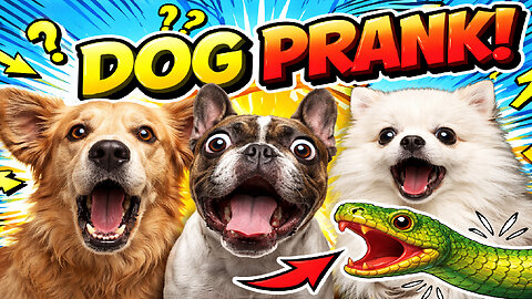 They Weren't Ready For This! 😂 Best Dog Pranks