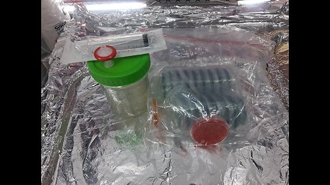 My First 🥇 Contest winner will Receive this LC & More from me. Mycology Mondays #133