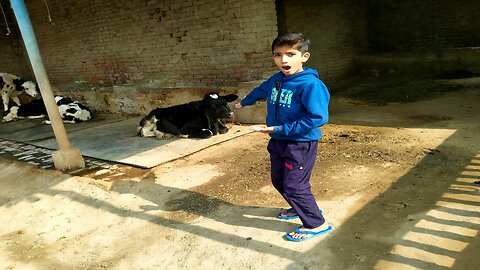 Kohinoor Sunday Vlog 🥰