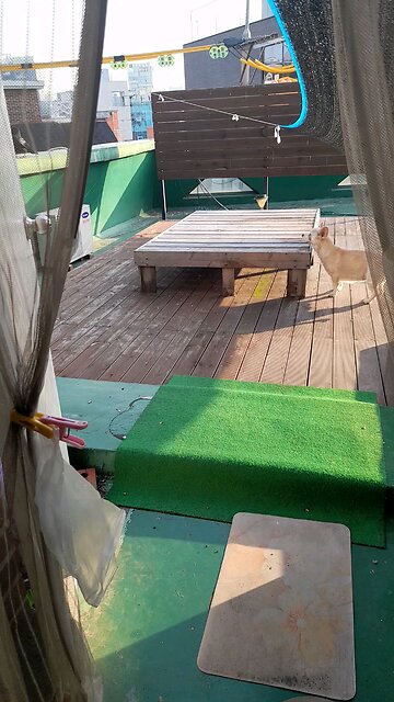 20251107. God made the world.