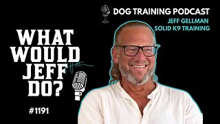 What Would Jeff Do? #1191 dog training q & a