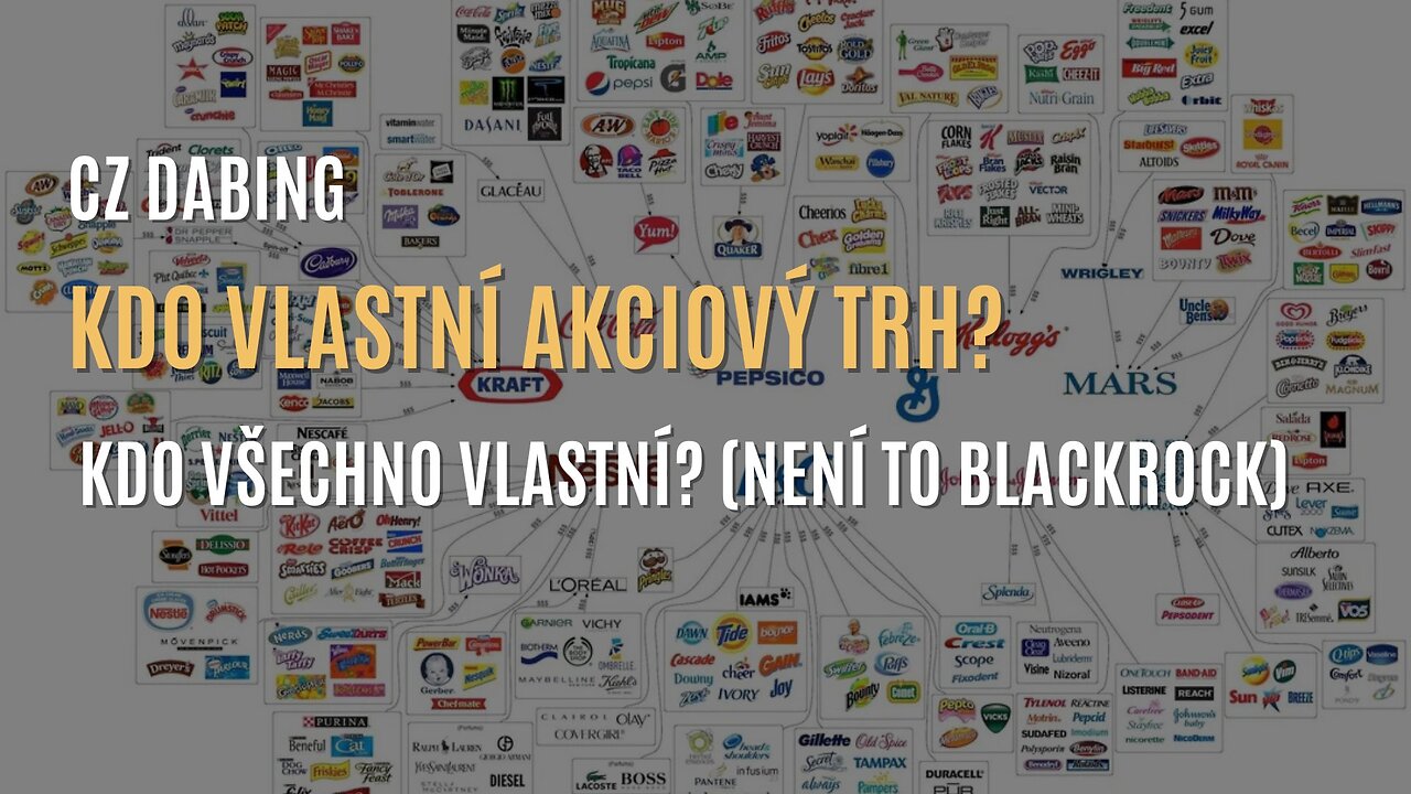 Ian Carroll: Kdo vlastní akciový trh? Kdo všechno vlastní? (není to BlackRock) - CZ DABING