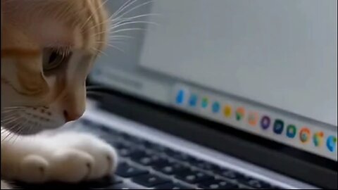 can't get any privacy around here