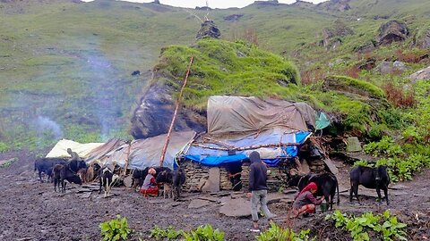 Monsoon Rain with a Shepherd in the Mountains | Real Rural Life During Rainy Season