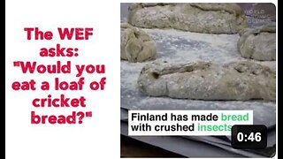 The WEF asks: "Would you eat a loaf of cricket bread?"