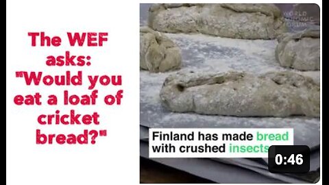 The WEF asks: "Would you eat a loaf of cricket bread?"