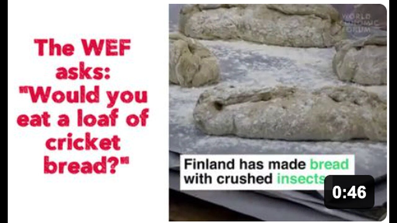 The WEF asks: "Would you eat a loaf of cricket bread?"