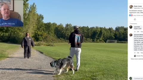 Dylan Jones - Allowing an Aggressive Dog to Express Control during the Process - Flipping the Script