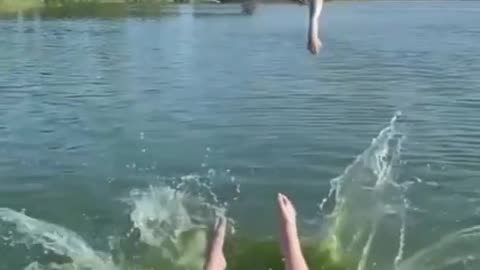 Bad luck for the dog 😅