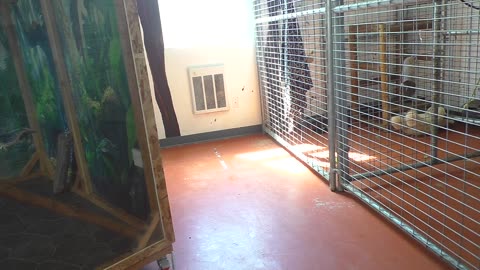 Monty's adorable foot!!!!