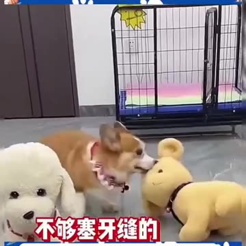 You Cheated on Me 🥲🥲