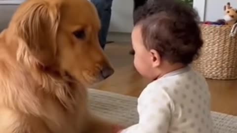 Cute Baby Playing With Animals | Adorable Baby & Pets Moments | Funny Animal Reactions”