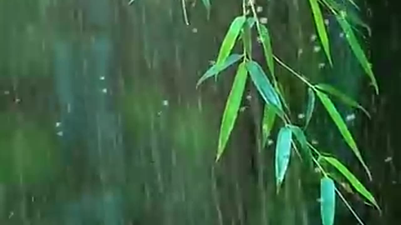 🌿 Soothing Rainforest Sounds for Deep Sleep 🌧️ | Relaxing Nature White Noise