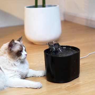Cat water fountain cat fountains pet fountains