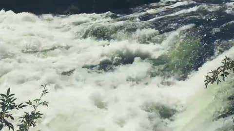 Music For Mind Relaxation