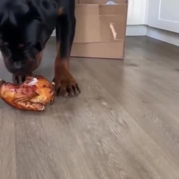 nom