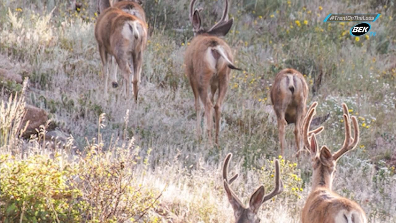 Trent Loos in the Morning - 10/02/2025