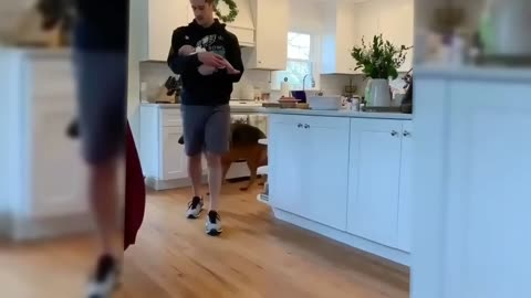 Funny Cats and Dogs Video Compilation