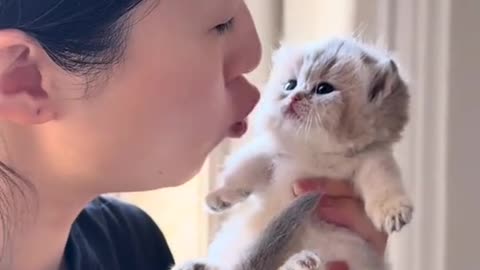 Tiny Kitten’s Reaction to Kisses is Too Pure! 😍