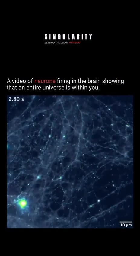 We hold the universe within us