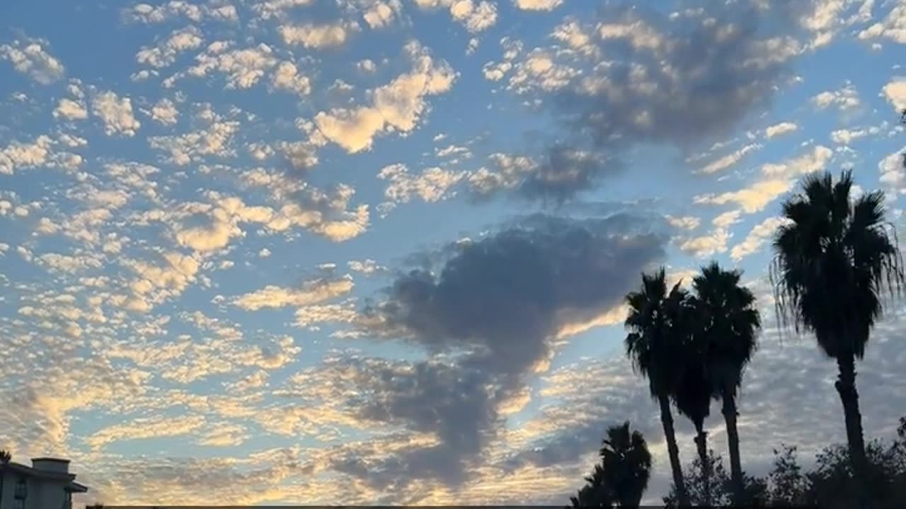 Daily Horoscope | Gemini 🌟