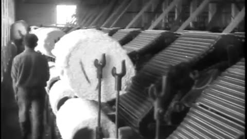 Cotton Milling - Cotton Milling - fc-fc-620