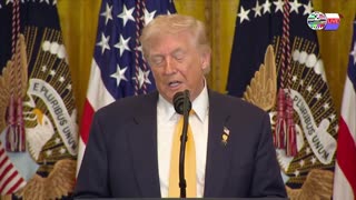 TWO CATS U.S. POLITICAL NEWS