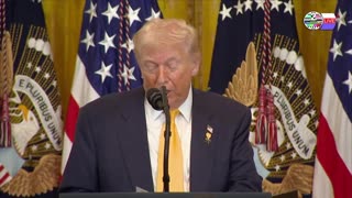 TWO CATS U.S. POLITICAL NEWS