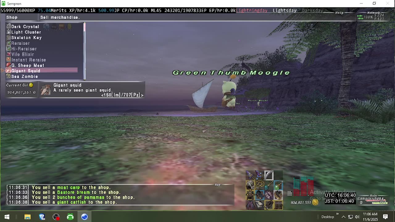 Playing Final Fantasy XI Online