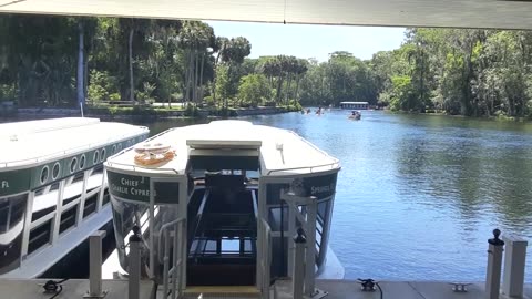 2021 | SILVER SPRINGS FLORIDA | FATHER | DAUGHTER TRIP