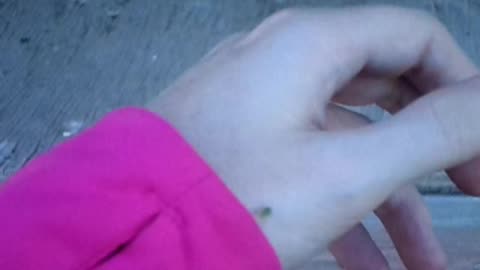 Tiny green aphid walking on the bnkywuv's hand