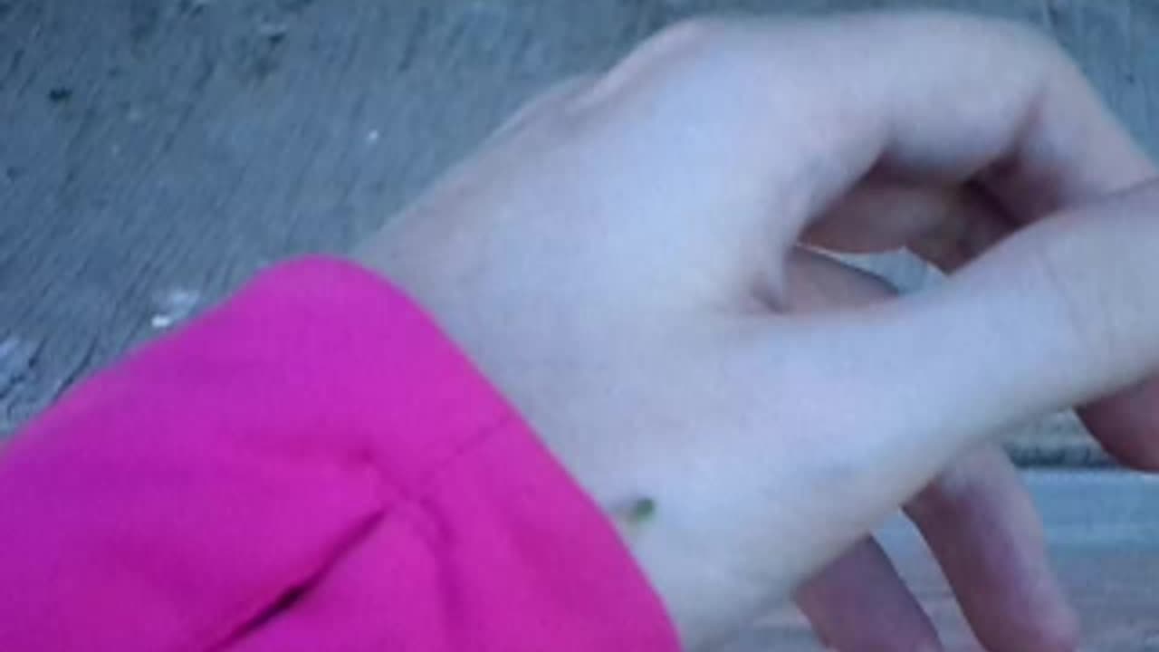 Tiny green aphid walking on the bnkywuv's hand