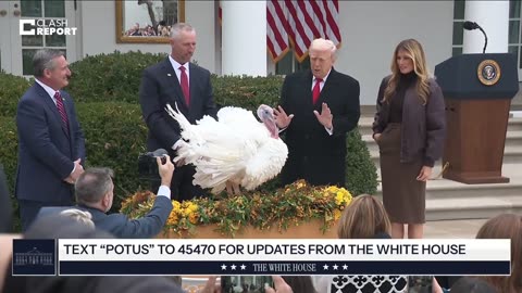 Trump Grants a Pardon to a Few More Turkeys