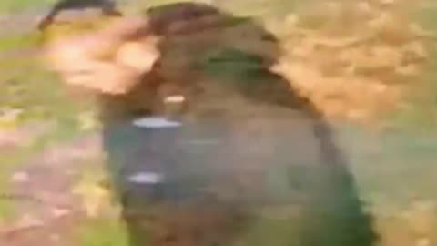 Indian-Origin Woman Raped In "Racially Aggravated" Attack In UK: Report