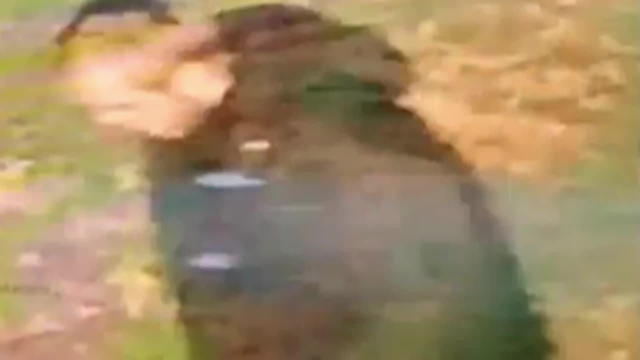 Indian-Origin Woman Raped In "Racially Aggravated" Attack In UK: Report