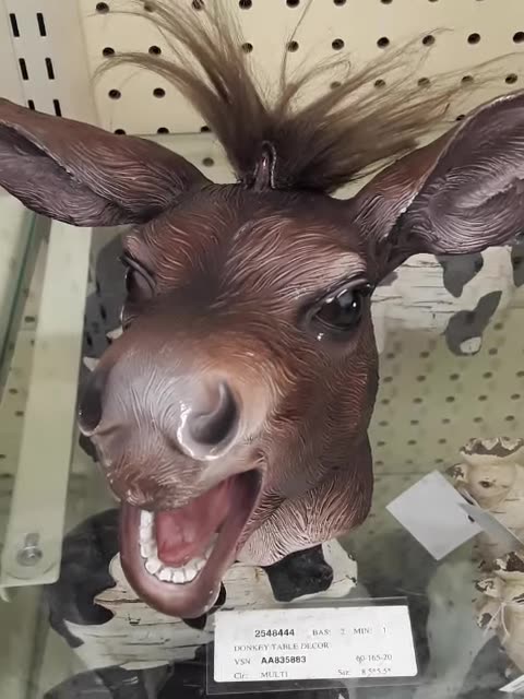 How stupid the Lib Dems look