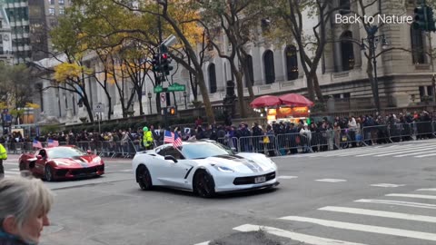Veterans Hit the Road (5th Ave) in NYC on Veterans' Day
