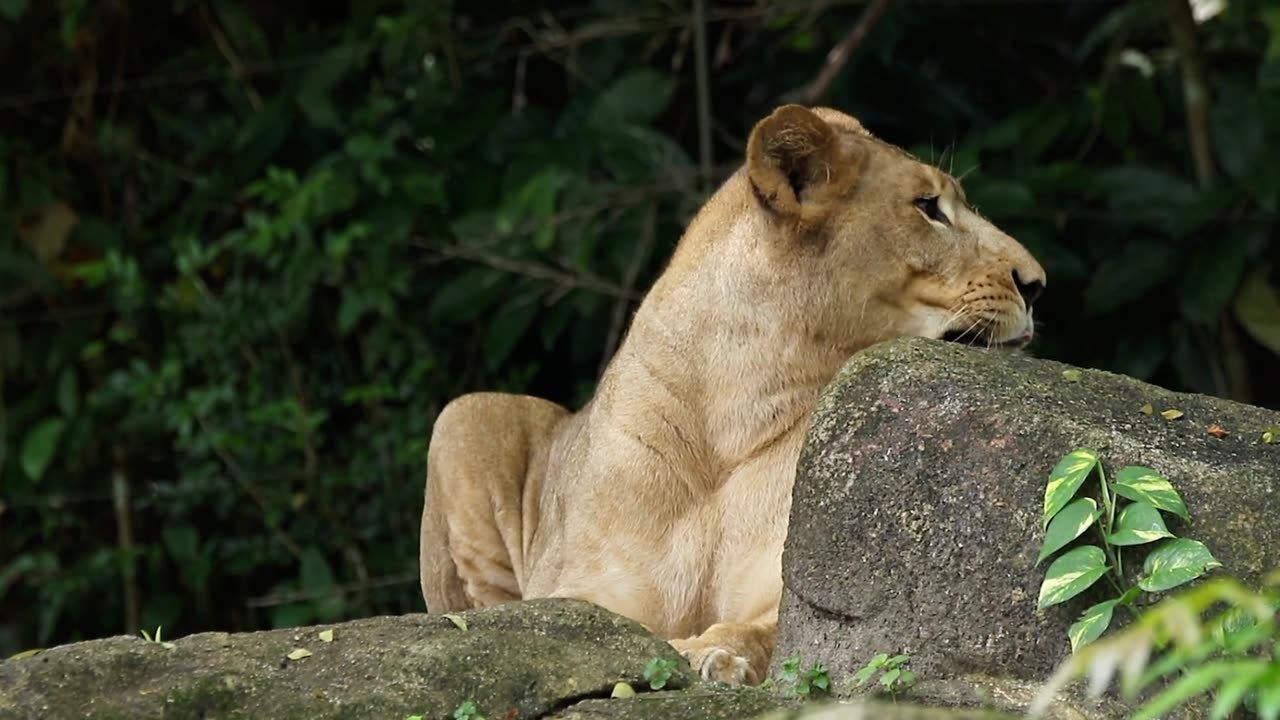 "Wake up with determination. Go to bed with satisfaction."