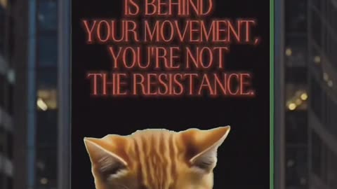 When the media is behind your movement...