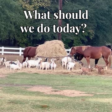 What should we do today?