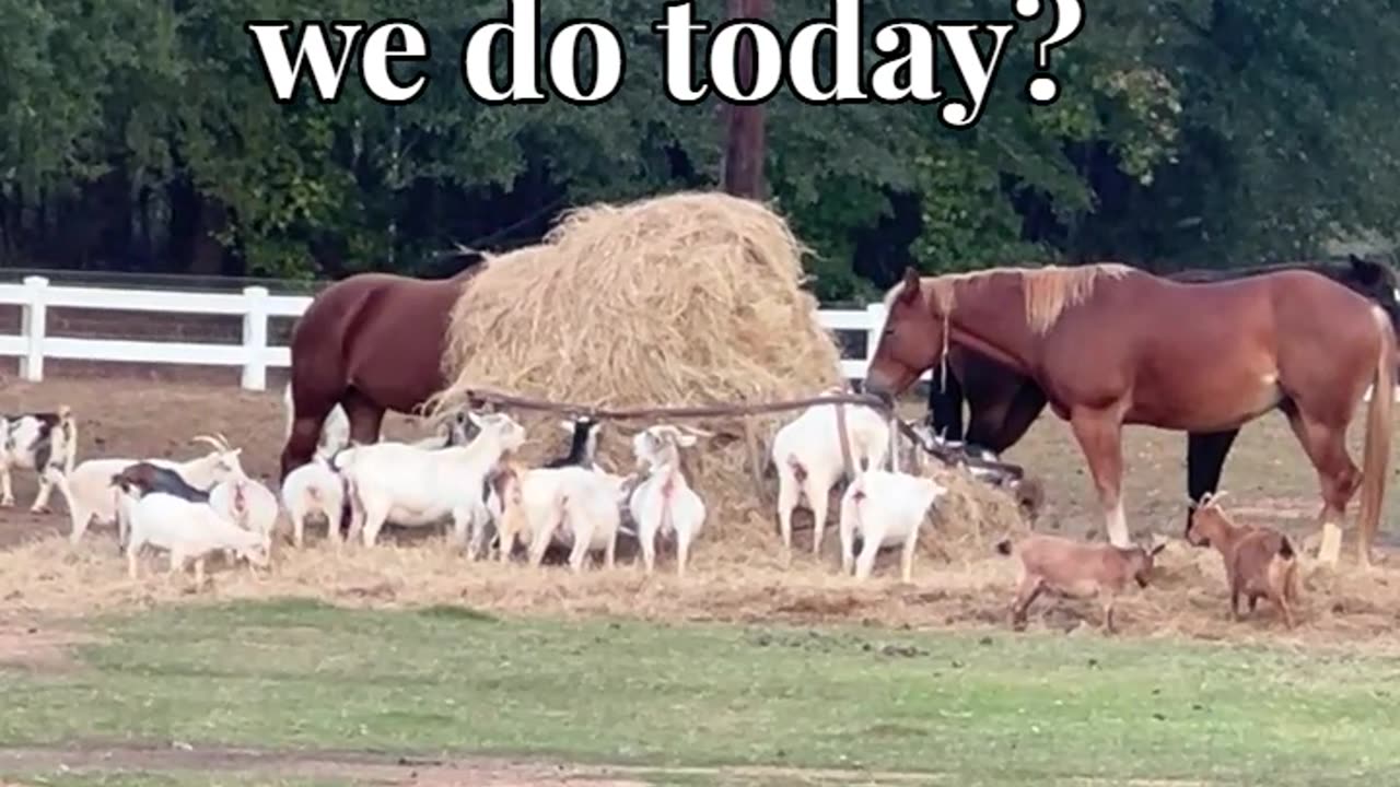 What should we do today?