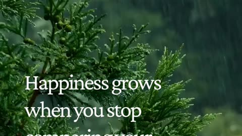 Stop Comparing, Start Thriving 🌸 Your Happiness Awaits