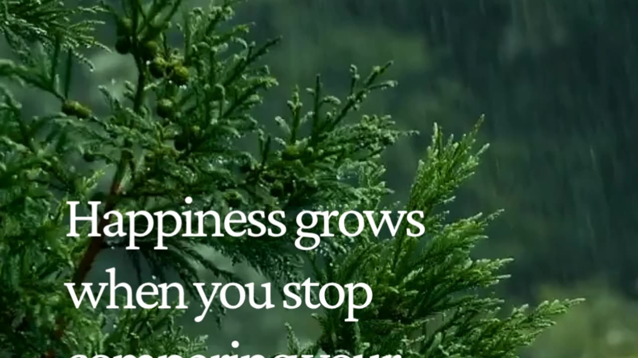 Stop Comparing, Start Thriving 🌸 Your Happiness Awaits