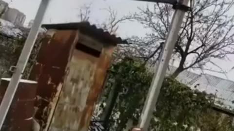 Funniest videos 😂 😂