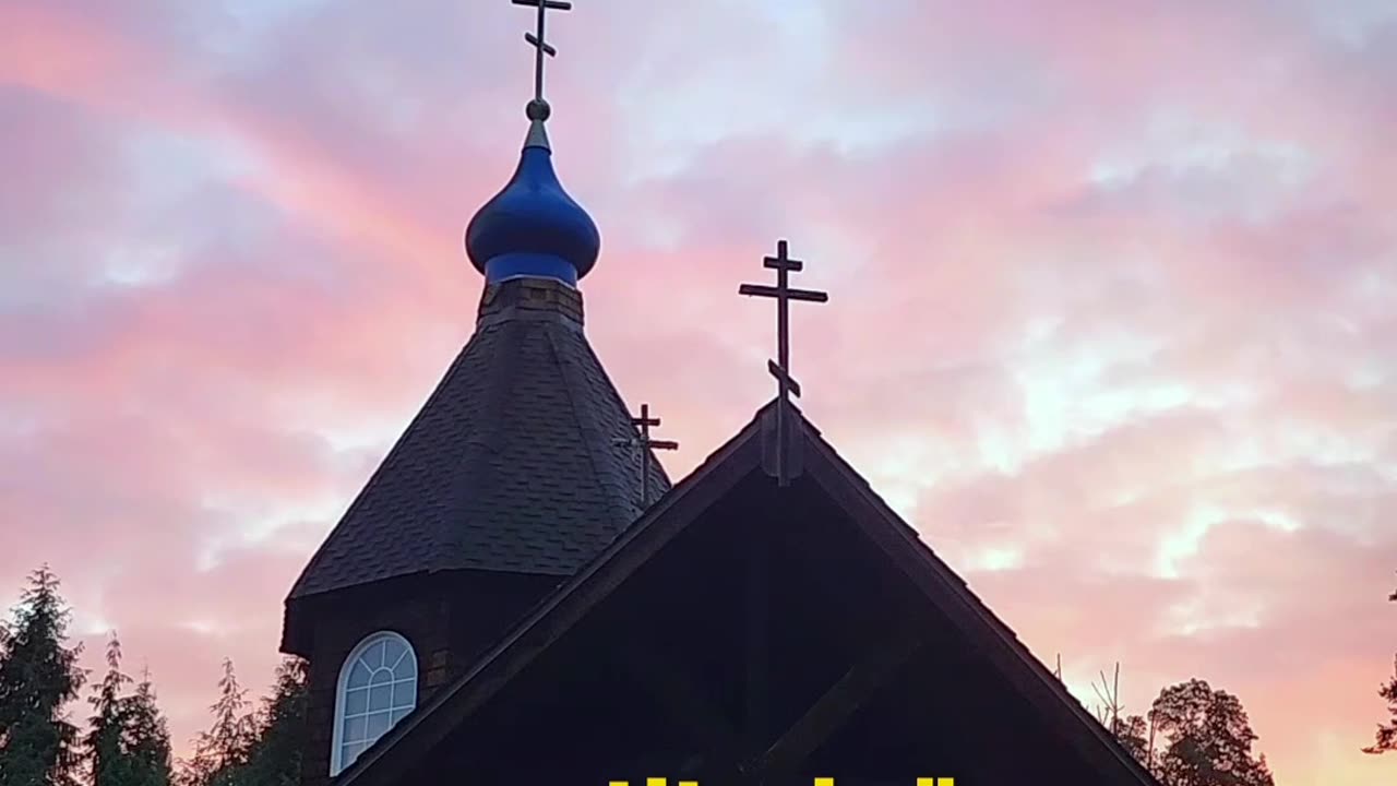 Greed Into Gratitude