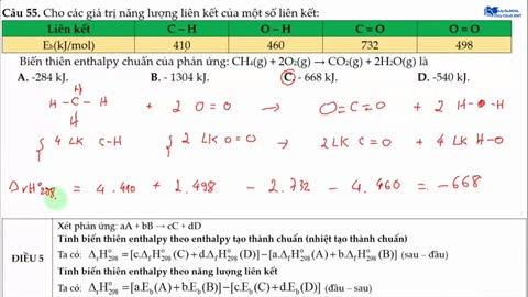 BỘ 10 NỀN HOÁ- NỀN 2