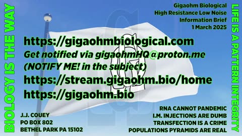 Gigaohm Biological High Resistance Low Noise Information Brief